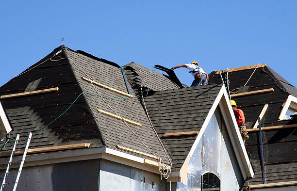 Best Storm Damage Roof Repair  in Assumption, IL