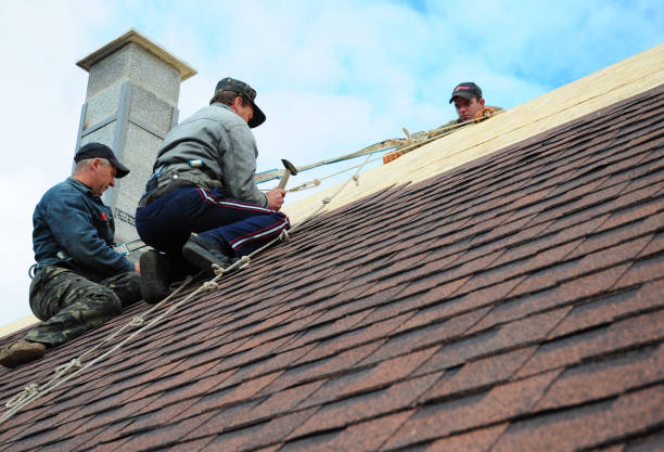 Best Local Roofing Companies  in Assumption, IL